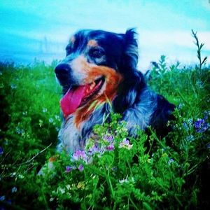 Meet your Posher, Catherine